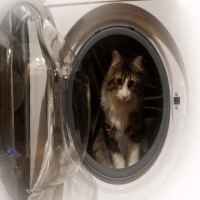 /album/galerie-de-photos-afrique/dsc01513-jpg/