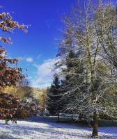 /album/gendron-alain/img-20171228-wa0006-jpg/